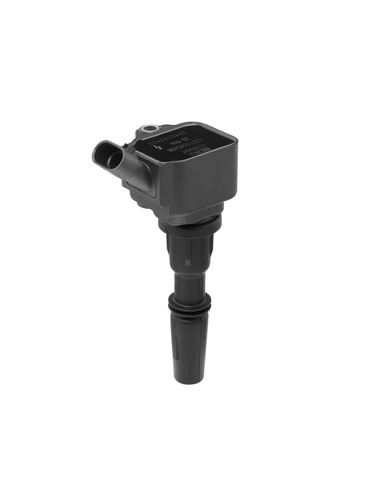 Zapalovací cívka BorgWarner ZS596 – OE 55267998