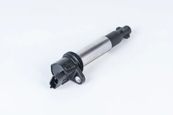 Zapalovací cívka BorgWarner ZS558