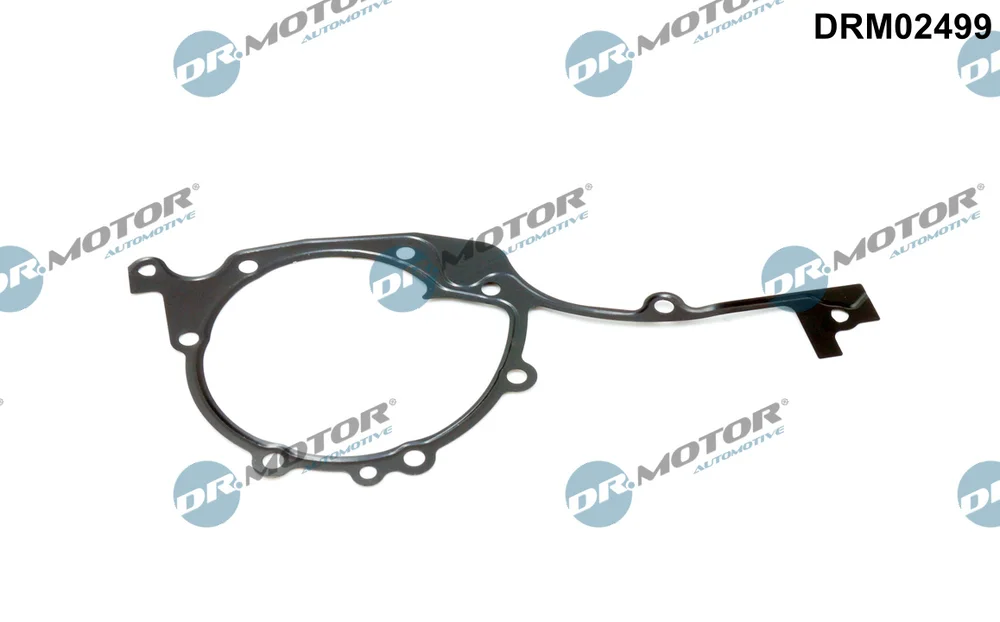 Těsnění, rozvodové ústrojí Dr.Motor Automotive DRM02499