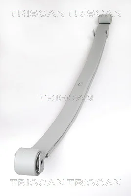 Paket pružin TRISCAN 876510005