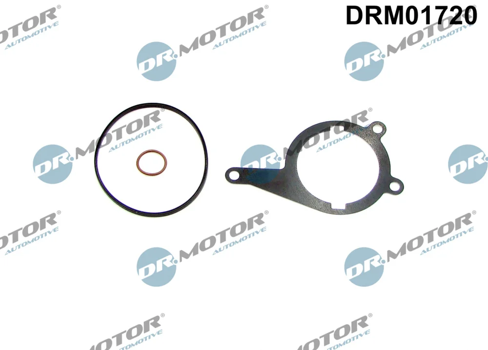 Těsnění, vakuové čerpadlo Dr.Motor Automotive DRM01720