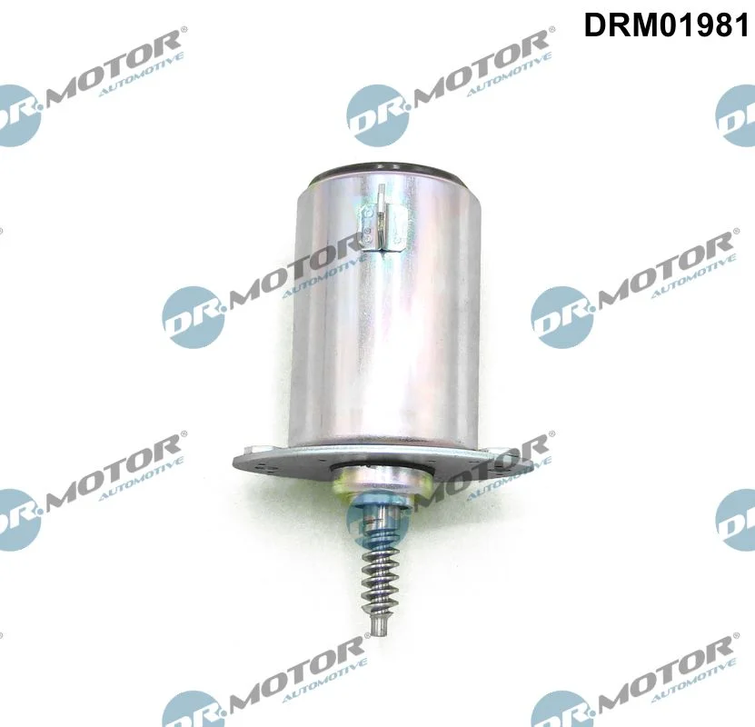 Řídicí ventil, seřízení vačkového hřídele Dr.Motor Automotive DRM01981
