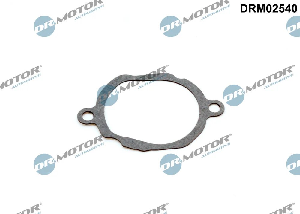 Těsnění, termostat Dr.Motor Automotive DRM02540